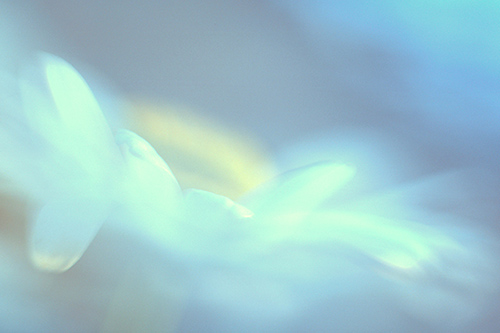 abstract photos