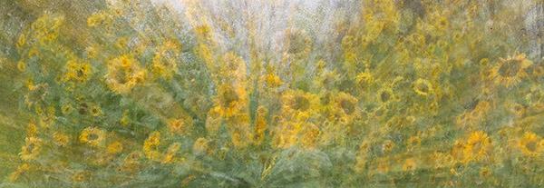 abstract photos