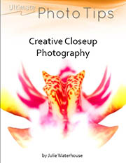close up photography