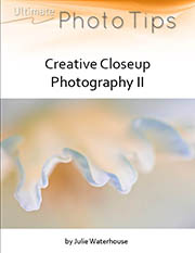 close up photography
