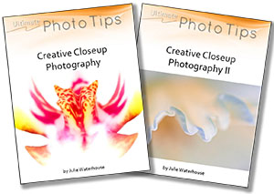 close up photography