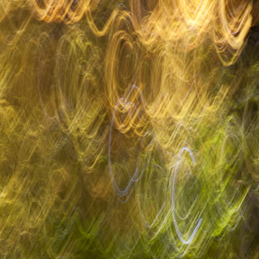 digital photography for beginners