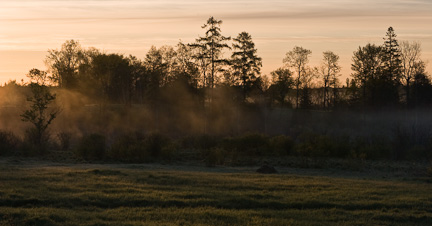 landscape shot during golden hour