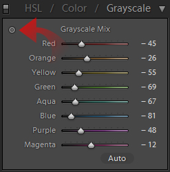 Lightroom Grayscale tool