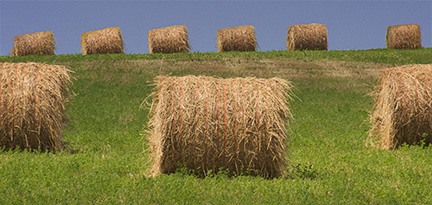 hay bales