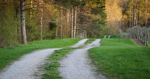 orchard path