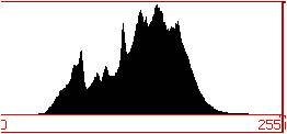 Digital Photography Histogram