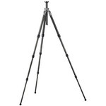 Gitzo Mountaineer Tripod