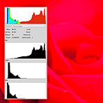 photo histogram explained