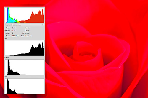 photo histogram