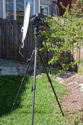 using a photography diffuser