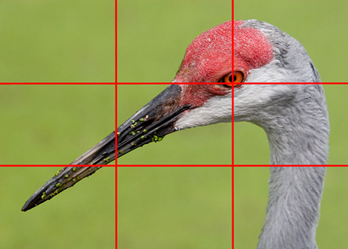 photography rule of thirds