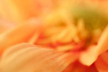 selective focus
