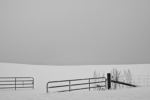 snow photography