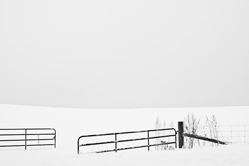 snow photography