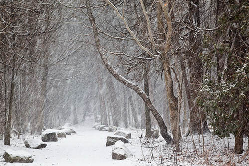 snow photography