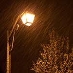 Snow Photography