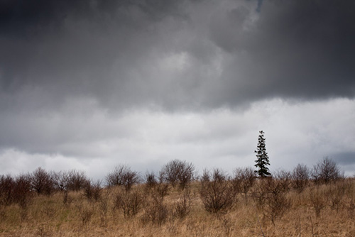 Rural landscape photo illustrating creative use of dark tones