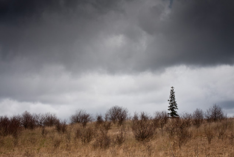 Julie talks about using light and dark tones in photography