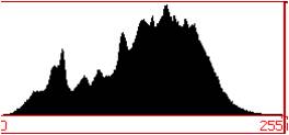 image histogram