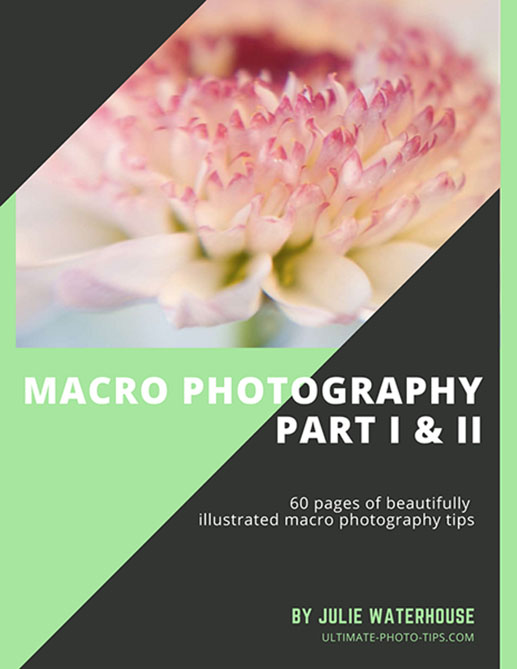 Close up & Macro Photography eBook